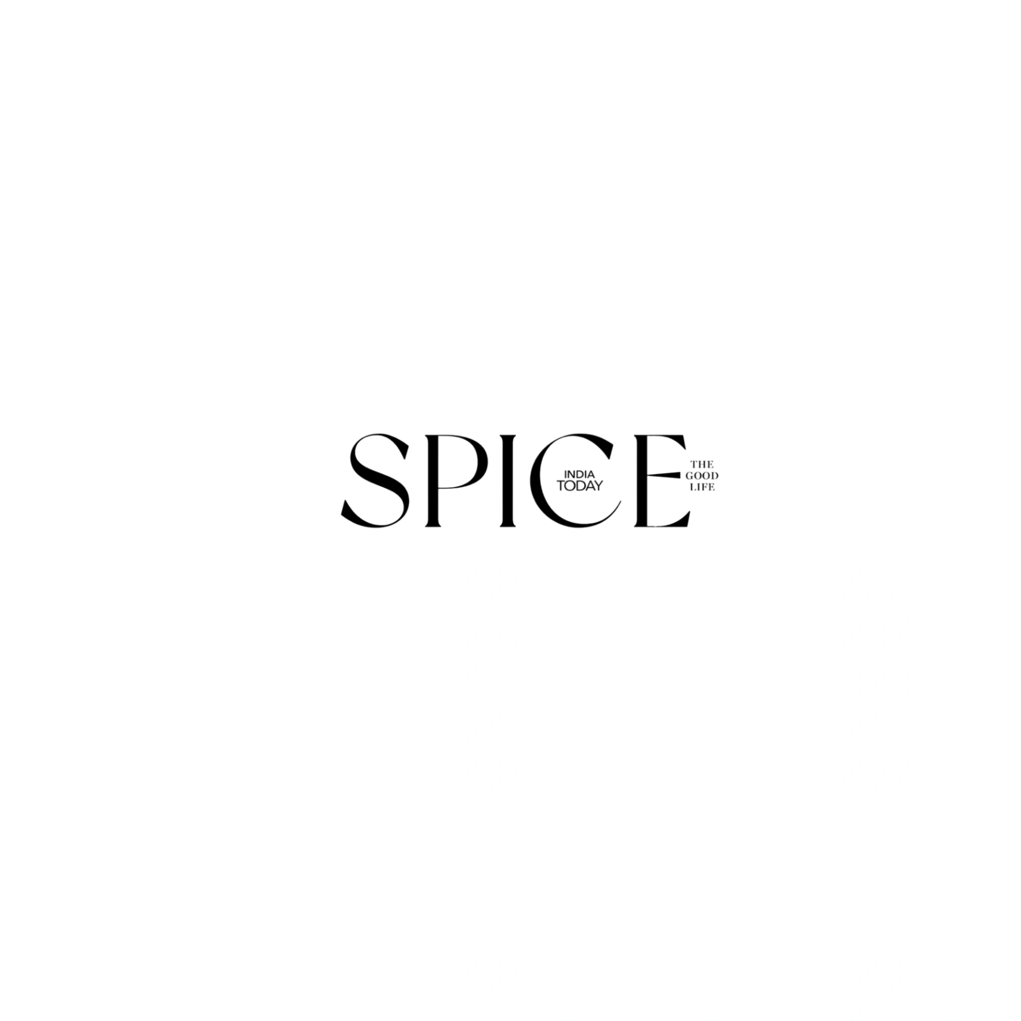 Spice logo - Double Trouble Studio featured work case study